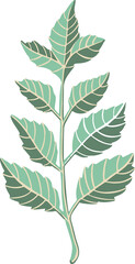 Leaf plant tree colorful drawing illustration symbol