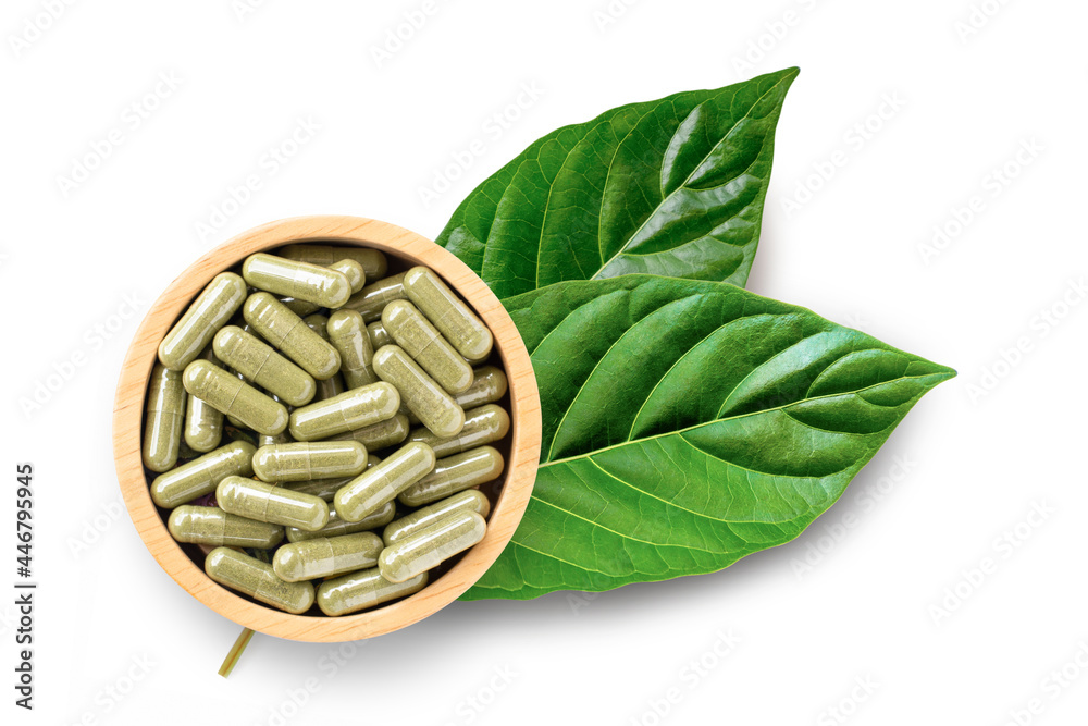 Wall mural Kratom leaves (Mitragyna speciosa) with kratom powder capsules