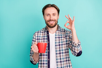 Photo portrait man in plaid shirt showing okay gesture drinking tea isolated pastel teal color background