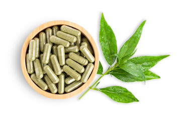 Andrographis paniculata leaf and powder herbal capsules 