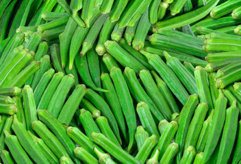 Indian organic vegetables, fresh okra background elements