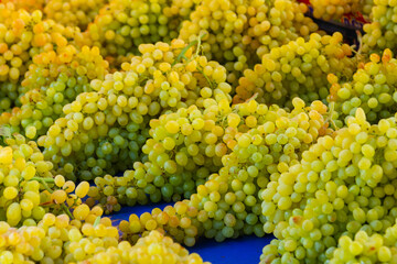 ANTALYA, TURKEY: Sale of grapes in a street market. Grocery traditional Turkish bazaar in Antalya.
