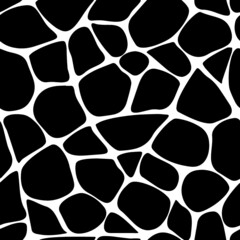 black and white giraffe print