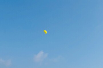 kite in the sky