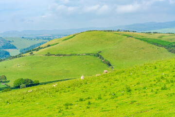 Fototapeta na wymiar Rural Pembrokshire in Wales
