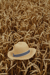 the hat lies in the field on the ears of wheat