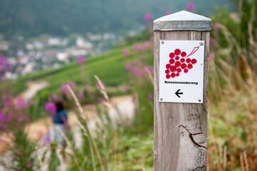 Ahr Valley, Rhineland Paltinate, Germany - July 15 2019: Signposts of the 'Rotweinwanderweg', the Red Wine Hiking Trail in Germany's Ahr Valley