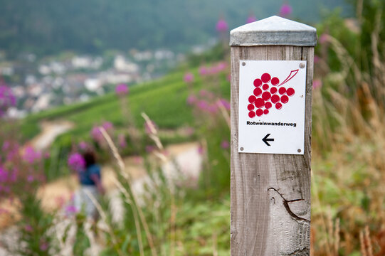 Ahr Valley, Rhineland Paltinate, Germany - July 15 2019: Signposts of the 'Rotweinwanderweg', the Red Wine Hiking Trail in Germany's Ahr Valley