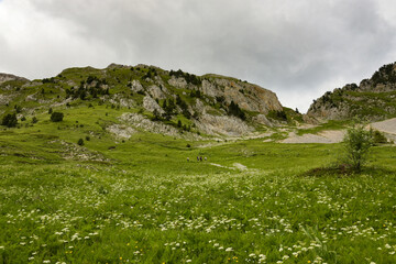 hiking landscape in the vercors moutains of france