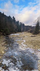 Fototapeta na wymiar river in the forest