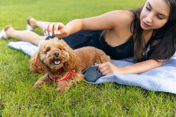 Evening walks. Beautiful girl and her pet, little golden poodle dog strolling in public park, outdoors. Summer time. Sincere emotions. leisure activities concept
