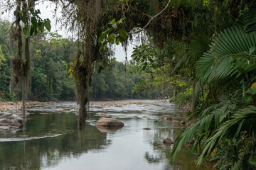 Rio de águas puras na Serra do Mar no Paraná no meio da Floresta Atlântica preservada. Brasil. 