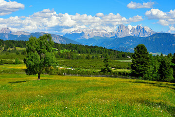 Fototapeta premium alpe di villandro It is the second largest mountain pasture in Europe south tyrol italy