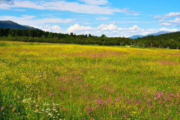 alpe di villandro It is the second largest mountain pasture in Europe south tyrol italy