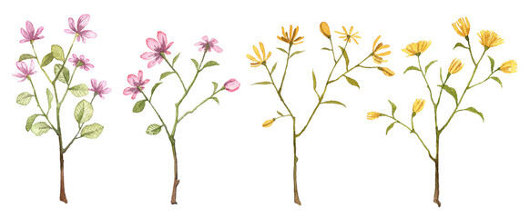 Set of watercolor wild flowers isolated on white background. Hand painted cute flowers on twigs with green leaves. Scanned raster clip art. Separate 4 floral objects