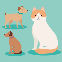 three mascots domestics