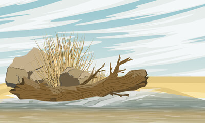 A dirty lake with a fallen dry tree, stones and dry grass on the shore. Realistic vector landscape