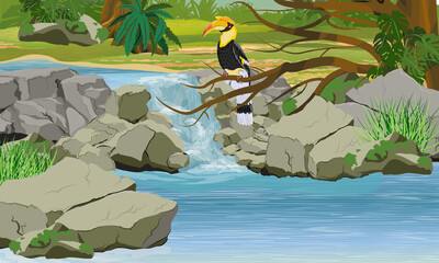 Great hornbill Buceros bicornis sits in the branches of a tropical tree over a waterfall. Tropical bird. Jungle with lianas, epiphytic fern and tropical plants. Realistic vector landscape © AnnstasAg