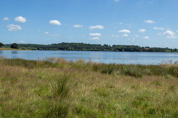 Fototapeta na wymiar Blithfield Reservoir