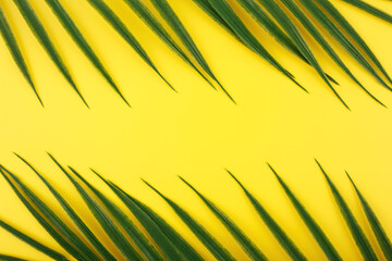 Creative background with two palm leaves. Flat lay with two palm leaves on sunny yellow background with space for text. Concept of abstract modern tropical background