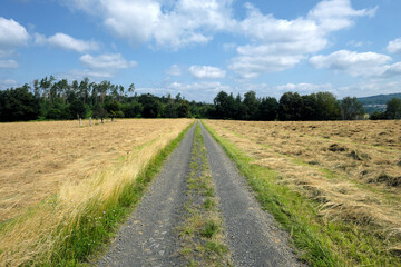 Fototapeta na wymiar Wirtschaftsweg durch Heuwiese mit geschnittenem und gewendetem Gras zur Heuernte - Stockfoto