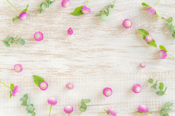 ピンクと白のセンニチコウとユーカリのフレーム