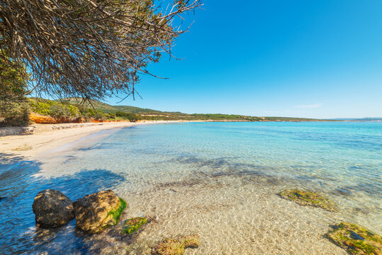Lazzaretto beach under a blue sky