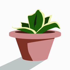 Snake Plant, Sansevieria Trifasciata, Mother-in-law tongue,  Saint George's Sword indoor, tropical plant in flowerpot vector illustration poster, houseplant, logo, web