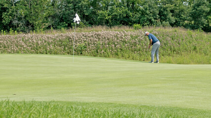 Obraz premium Golfer about to putt up a rise on the green, on a links course.