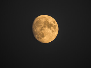 Yellow moon in the night sky