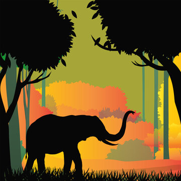The elephant in the forest background. Natural concept. Wildlife.Elephant silhouette at colorful background.