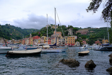 Fototapeta na wymiar colorful houses of Portofino with a natural leaf arc