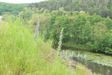 Ukrainian river Southern Bug flows through a picturesque hilly area