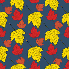 Fototapeta na wymiar vector seamless pattern with autumn leaves
