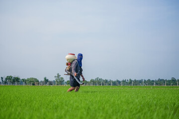 A farmer carrying a chemical fertilizer sprayer is walking in the field with blue sky