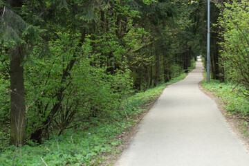 Long park path in the forest. Asphalt walking trail stretching into the distance.