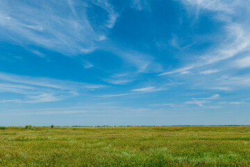 A colorful wide green field and a large beautiful blue sky with white clouds. Summer landscape. Lots of herbs and plants