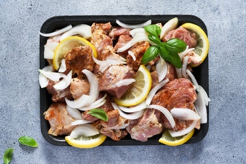 Marinated shish kebab with onion and lemon. Pork meat with spices on a tray.