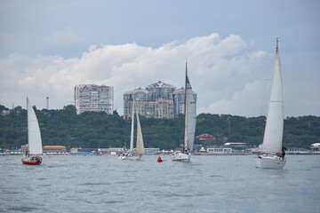 sailing yacht regatta. Sailing yachts are competing. Cruising sailing yachts.