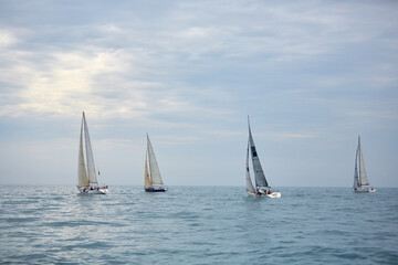 Naklejka na ściany i meble sailing yacht regatta. Sailing yachts are competing. Cruising sailing yachts.