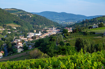 Fototapeta na wymiar Village de Beaujeu dans le vignoble du Beaujolais en france en été