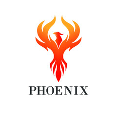 Flying Phoenix. Fire Bird Logo design vector template