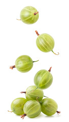 Green gooseberry drops on a heap on a white background, levitating gooseberry. Isolated