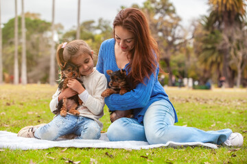 Fototapeta premium Yorkshire Terrier puppy in the arms of happy family