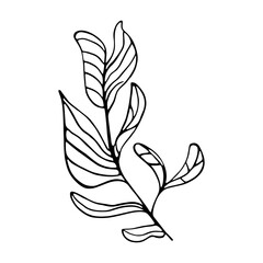 Isolated sketch of a tree leaves Vector illustration