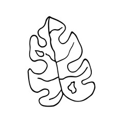 Isolated sketch of a tree leaves Vector illustration