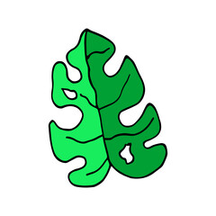 Isolated sketch of a tree leaves Vector illustration