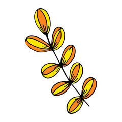 Isolated sketch of a tree leaves Vector illustration