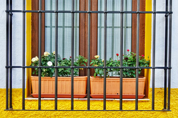 Fototapeta na wymiar Wooden window with flower pots behind bars on a yellow and white facade