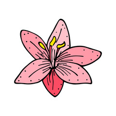 Isolated flower sketch Spring time Vector illustration